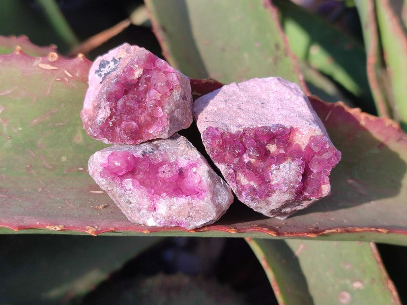 Natural Mini Spherocobaltite Specimens x 20 From Musonoi Mine, Congo - Toprock Gemstones and Minerals 