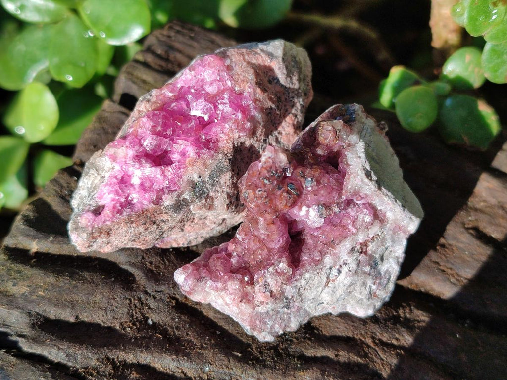Natural Mini Spherocobaltite Specimens x 20 From Musonoi Mine, Congo - Toprock Gemstones and Minerals 