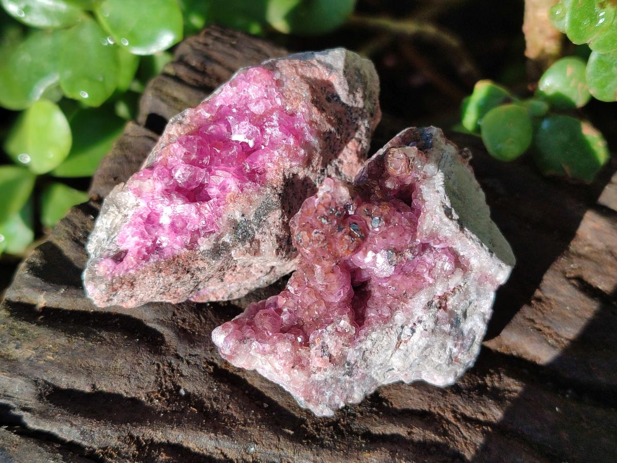 Natural Mini Spherocobaltite Specimens x 20 From Musonoi Mine, Congo - Toprock Gemstones and Minerals 