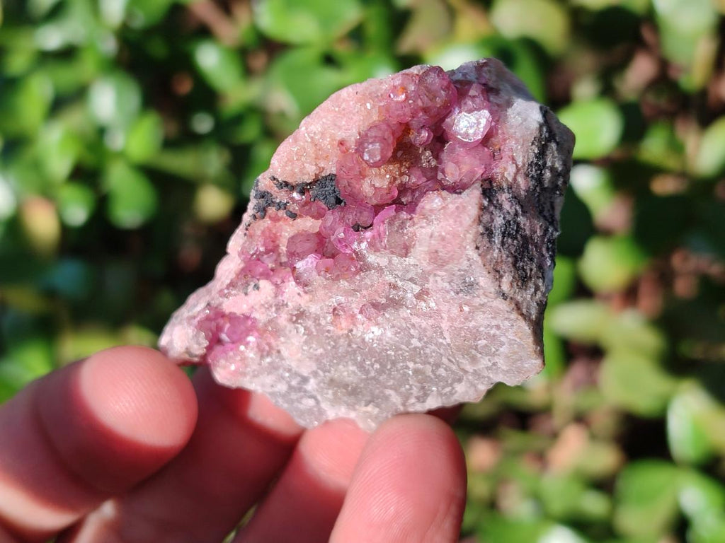 Natural Mini Spherocobaltite Specimens x 20 From Musonoi Mine, Congo - Toprock Gemstones and Minerals 