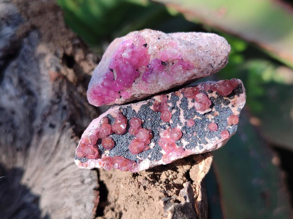 Natural Mini Spherocobaltite Specimens x 20 From Musonoi Mine, Congo - Toprock Gemstones and Minerals 