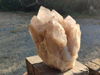 Natural XL Smokey Angolan Quartz Cluster with Polished Terminations x 1 From Angola - Toprock Gemstones and Minerals 
