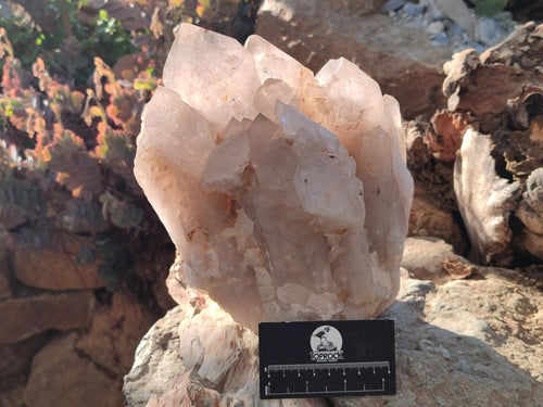 Natural XL Smokey Angolan Quartz Cluster with Polished Terminations x 1 From Angola - Toprock Gemstones and Minerals 
