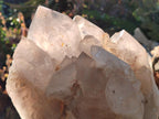 Natural XL Smokey Angolan Quartz Cluster with Polished Terminations x 1 From Angola - Toprock Gemstones and Minerals 