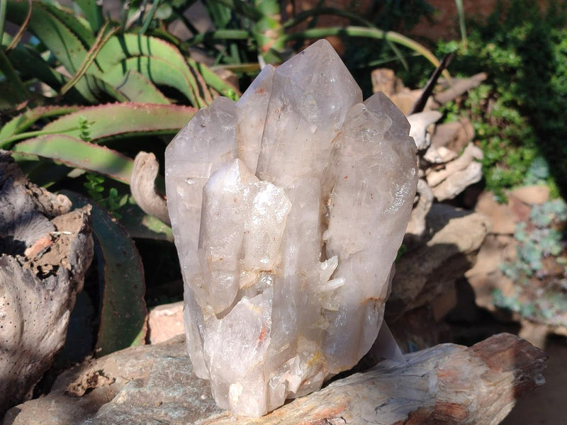 Natural XL Smokey Angolan Quartz Cluster with Polished Terminations x 1 From Angola - Toprock Gemstones and Minerals 