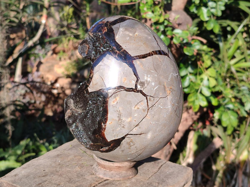 Polished Large Septerye Sauvage "Dragons Egg" Geode x 1 From Mahajanga, Madagascar - Toprock Gemstones and Minerals 