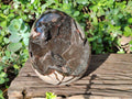 Polished Large Septerye Sauvage "Dragons Egg" Geode x 1 From Mahajanga, Madagascar - Toprock Gemstones and Minerals 