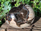 Polished Large Septerye Sauvage "Dragons Egg" Geode x 1 From Mahajanga, Madagascar - Toprock Gemstones and Minerals 
