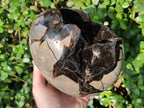 Polished Large Septerye Sauvage "Dragons Egg" Geode x 1 From Mahajanga, Madagascar - Toprock Gemstones and Minerals 