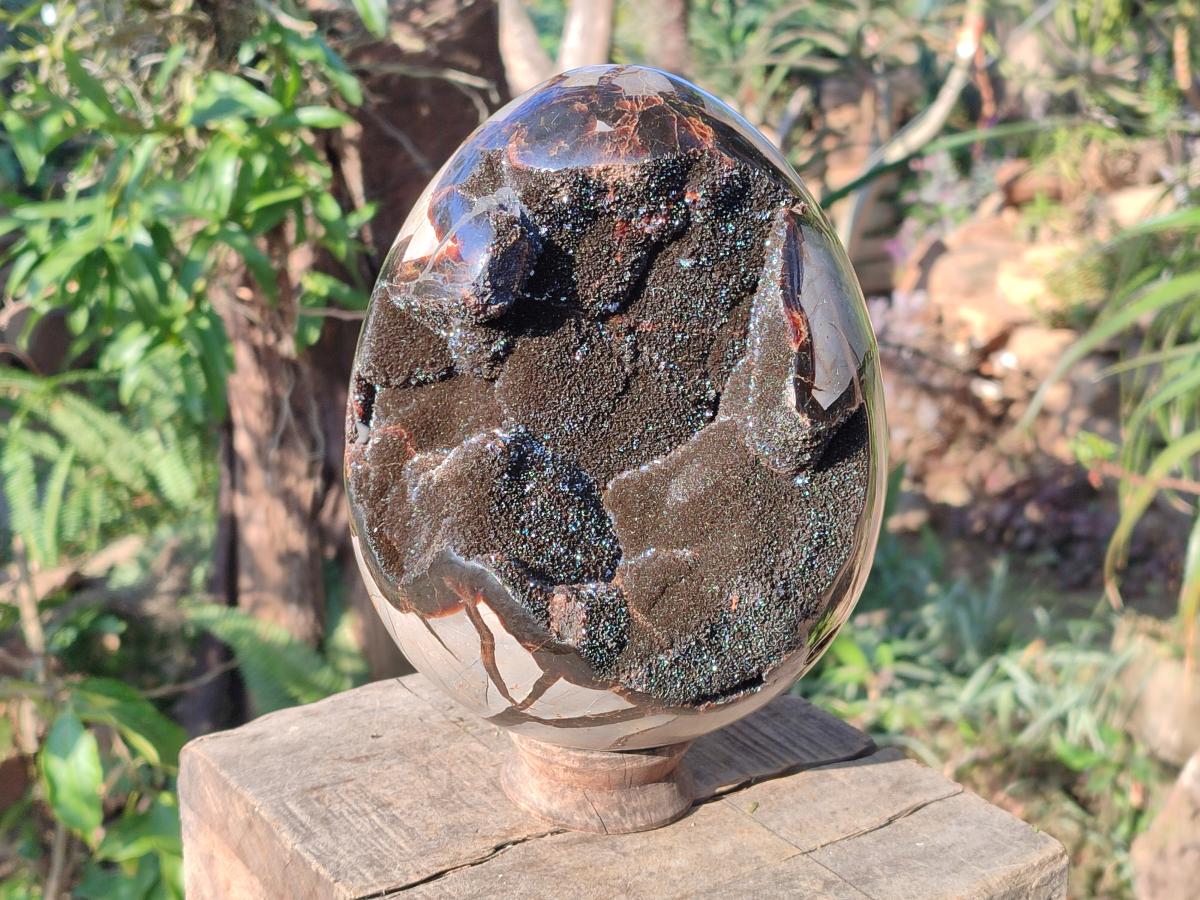 Polished Large Septerye Sauvage "Dragons Egg" Geode x 1 From Mahajanga, Madagascar - Toprock Gemstones and Minerals 