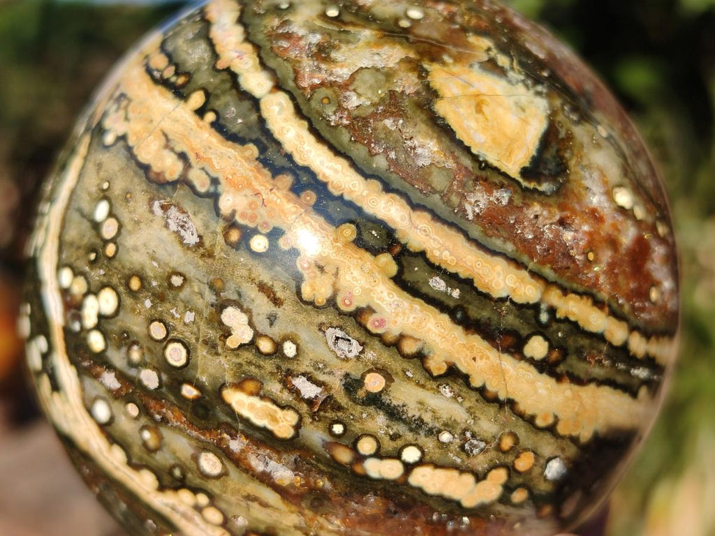 Polished Ocean Jasper Spheres x 3 From Northwest Coast, Madagascar - Toprock Gemstones and Minerals 