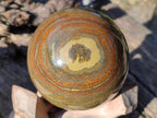 Polished Ocean Jasper Spheres x 3 From Northwest Coast, Madagascar - Toprock Gemstones and Minerals 