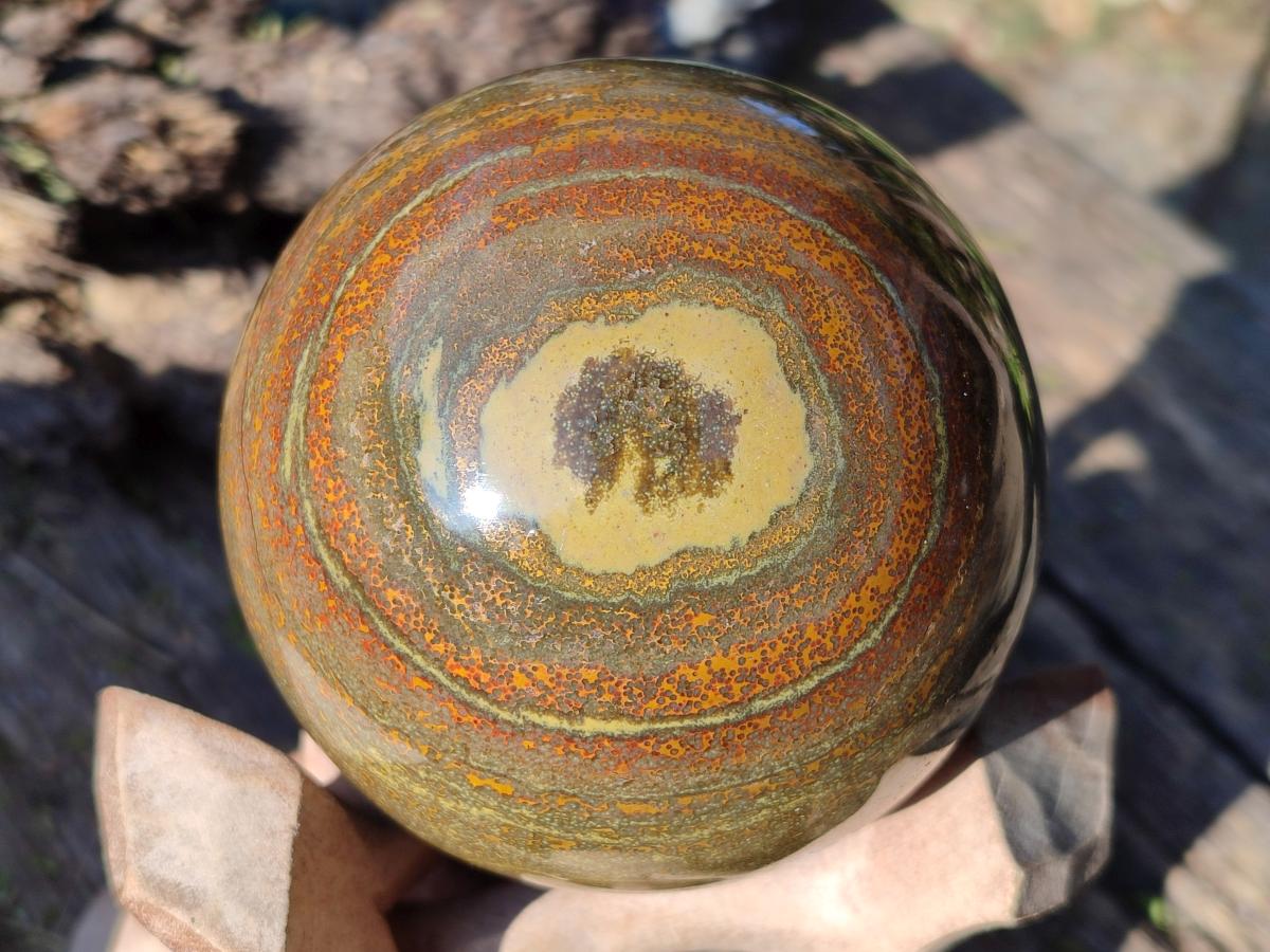 Polished Ocean Jasper Spheres x 3 From Northwest Coast, Madagascar - Toprock Gemstones and Minerals 