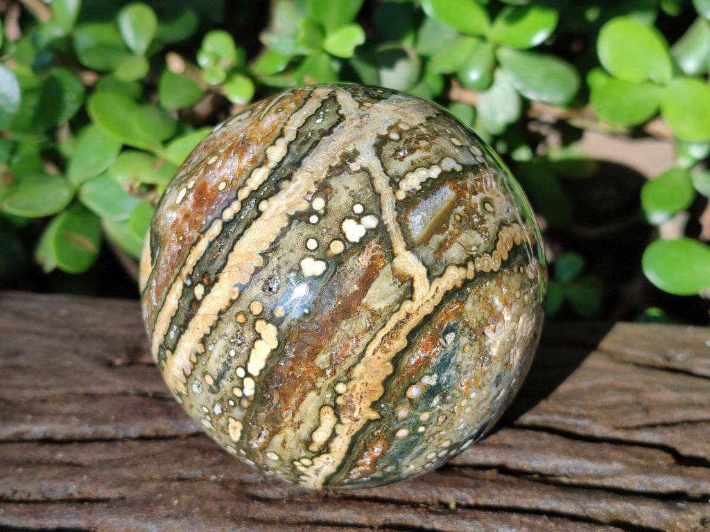 Polished Ocean Jasper Spheres x 3 From Northwest Coast, Madagascar - Toprock Gemstones and Minerals 
