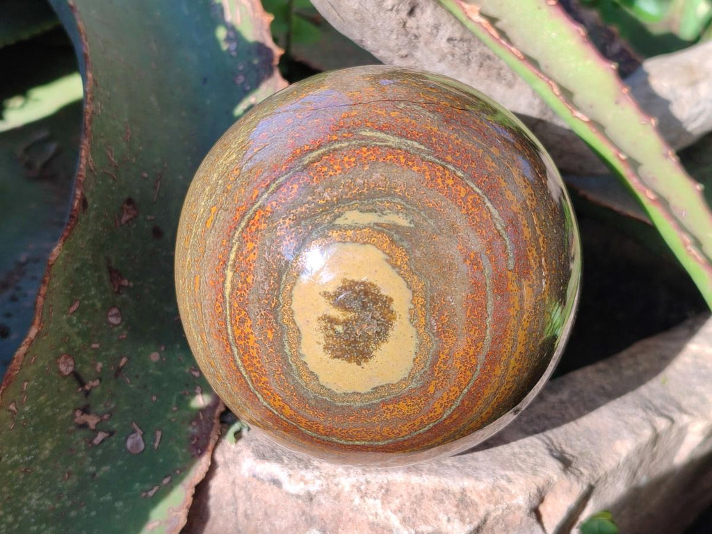 Polished Ocean Jasper Spheres x 3 From Northwest Coast, Madagascar - Toprock Gemstones and Minerals 
