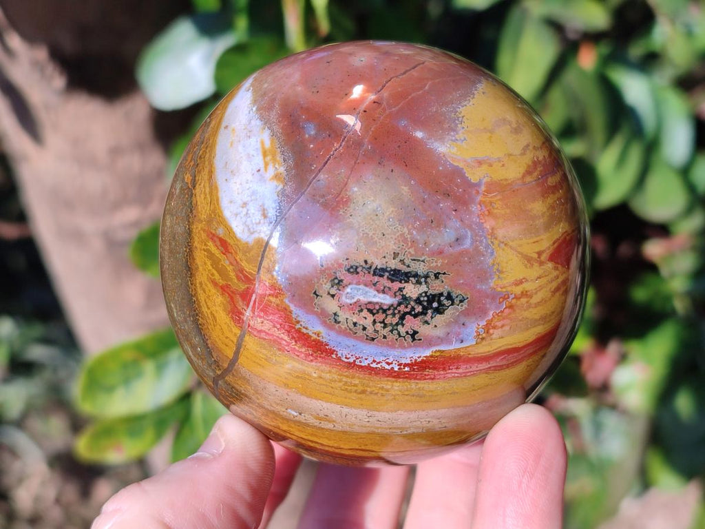 Polished Ocean Jasper Spheres x 3 From Northwest Coast, Madagascar - Toprock Gemstones and Minerals 