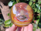 Polished Ocean Jasper Spheres x 3 From Northwest Coast, Madagascar - Toprock Gemstones and Minerals 