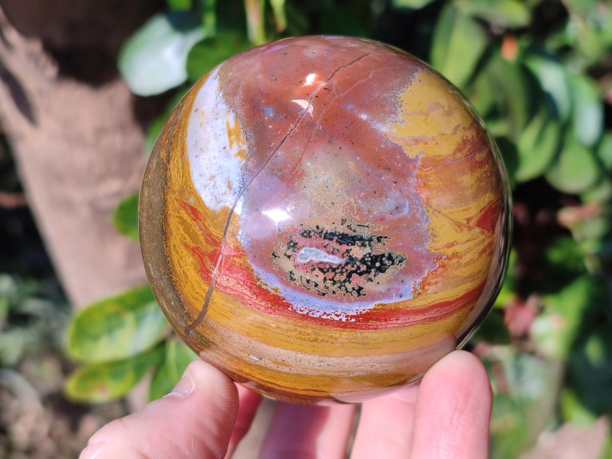 Polished Ocean Jasper Spheres x 3 From Northwest Coast, Madagascar - Toprock Gemstones and Minerals 