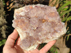 Natural Spirit Amethyst Clusters x 2 From Boekenhouthoek, South Africa - Toprock Gemstones and Minerals 