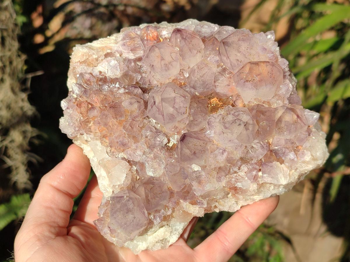 Natural Spirit Amethyst Clusters x 2 From Boekenhouthoek, South Africa - Toprock Gemstones and Minerals 