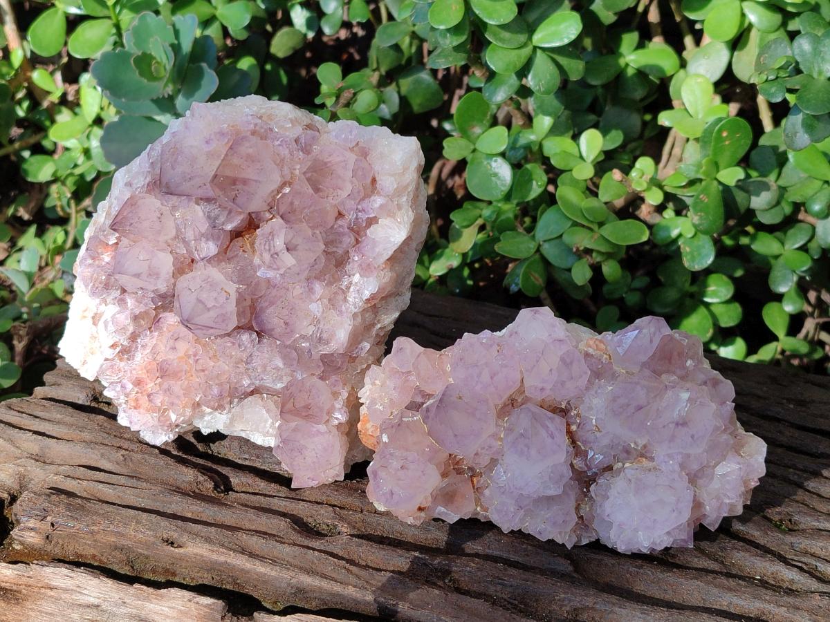 Natural Spirit Amethyst Clusters x 2 From Boekenhouthoek, South Africa - Toprock Gemstones and Minerals 