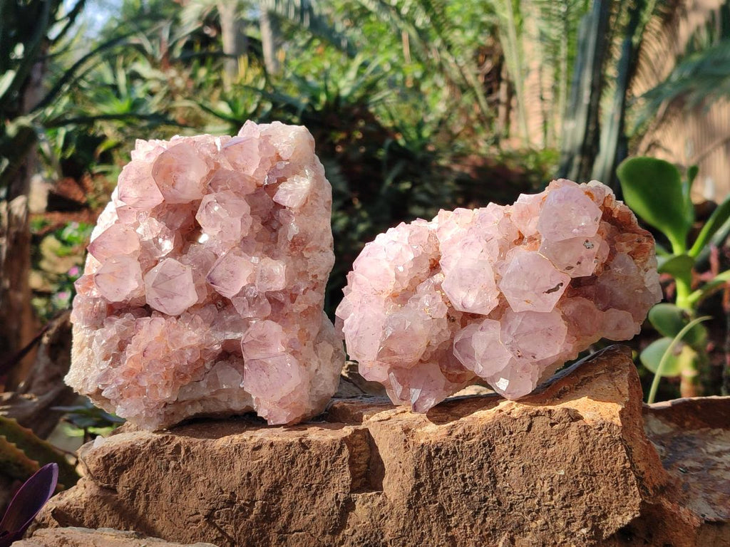 Natural Spirit Amethyst Clusters x 2 From Boekenhouthoek, South Africa - Toprock Gemstones and Minerals 