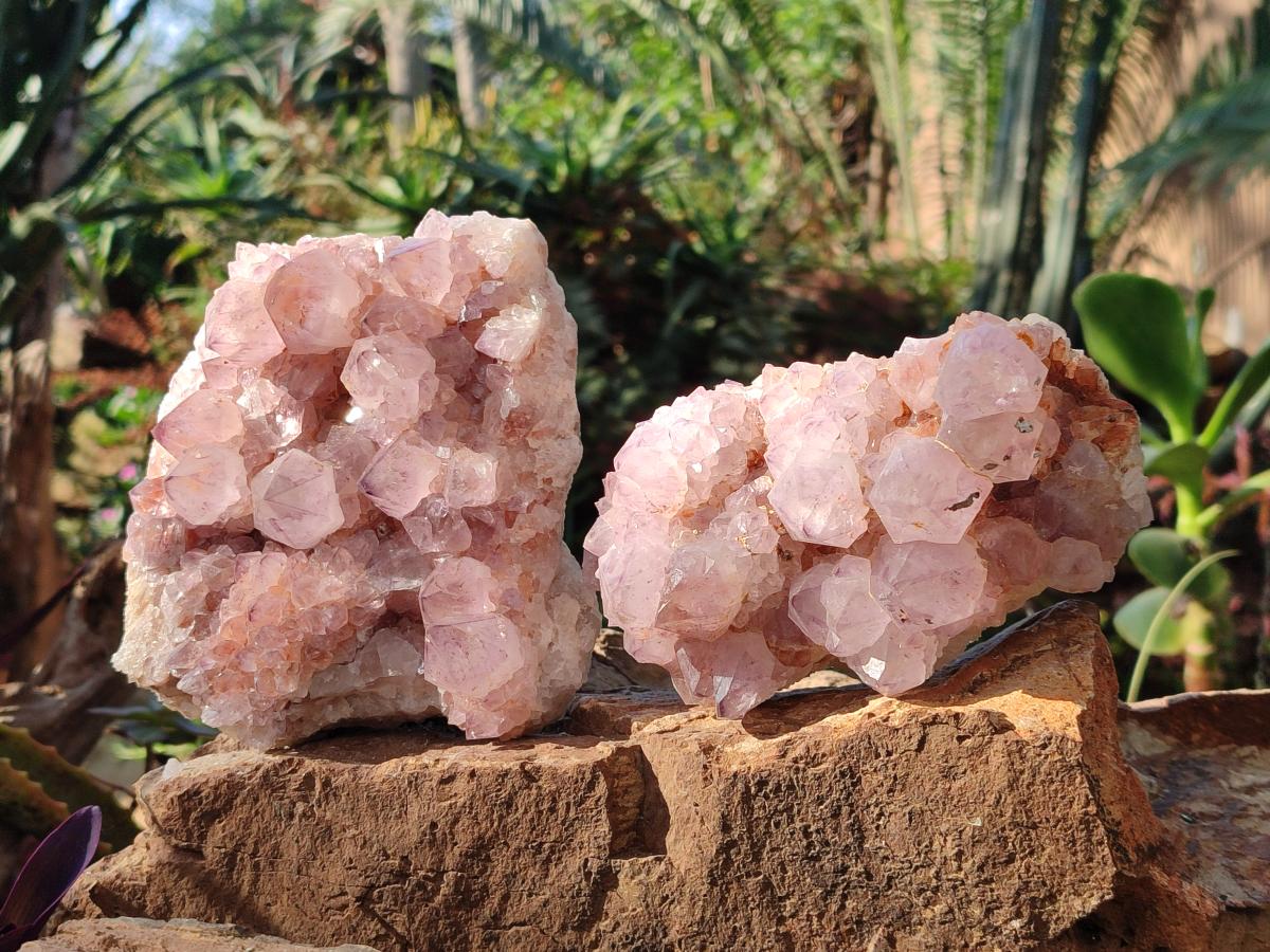 Natural Spirit Amethyst Clusters x 2 From Boekenhouthoek, South Africa - Toprock Gemstones and Minerals 