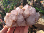 Natural Spirit Amethyst Clusters x 2 From Boekenhouthoek, South Africa - Toprock Gemstones and Minerals 