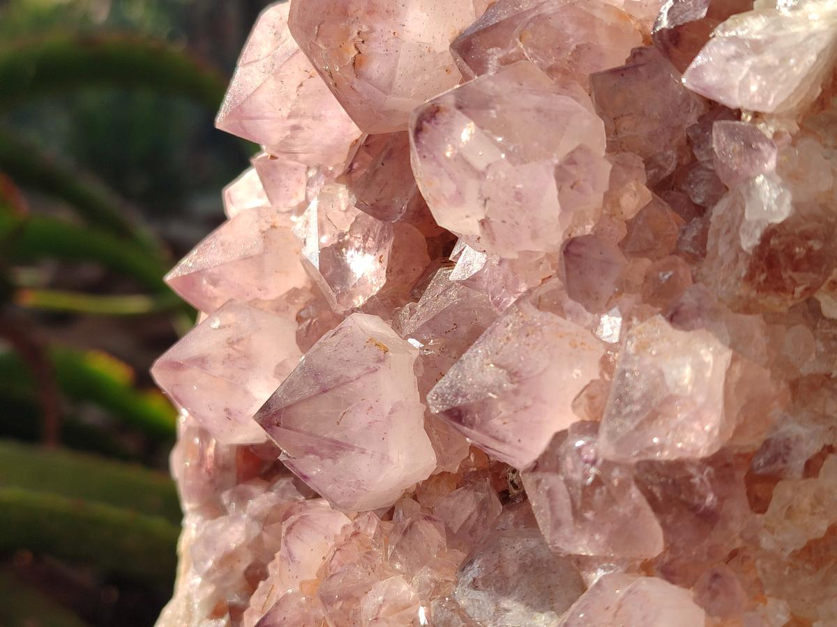 Natural Spirit Amethyst Clusters x 2 From Boekenhouthoek, South Africa - Toprock Gemstones and Minerals 
