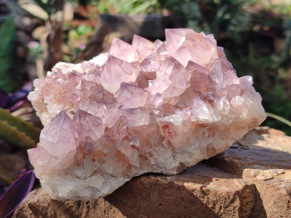 Natural Spirit Amethyst Clusters x 2 From Boekenhouthoek, South Africa - Toprock Gemstones and Minerals 
