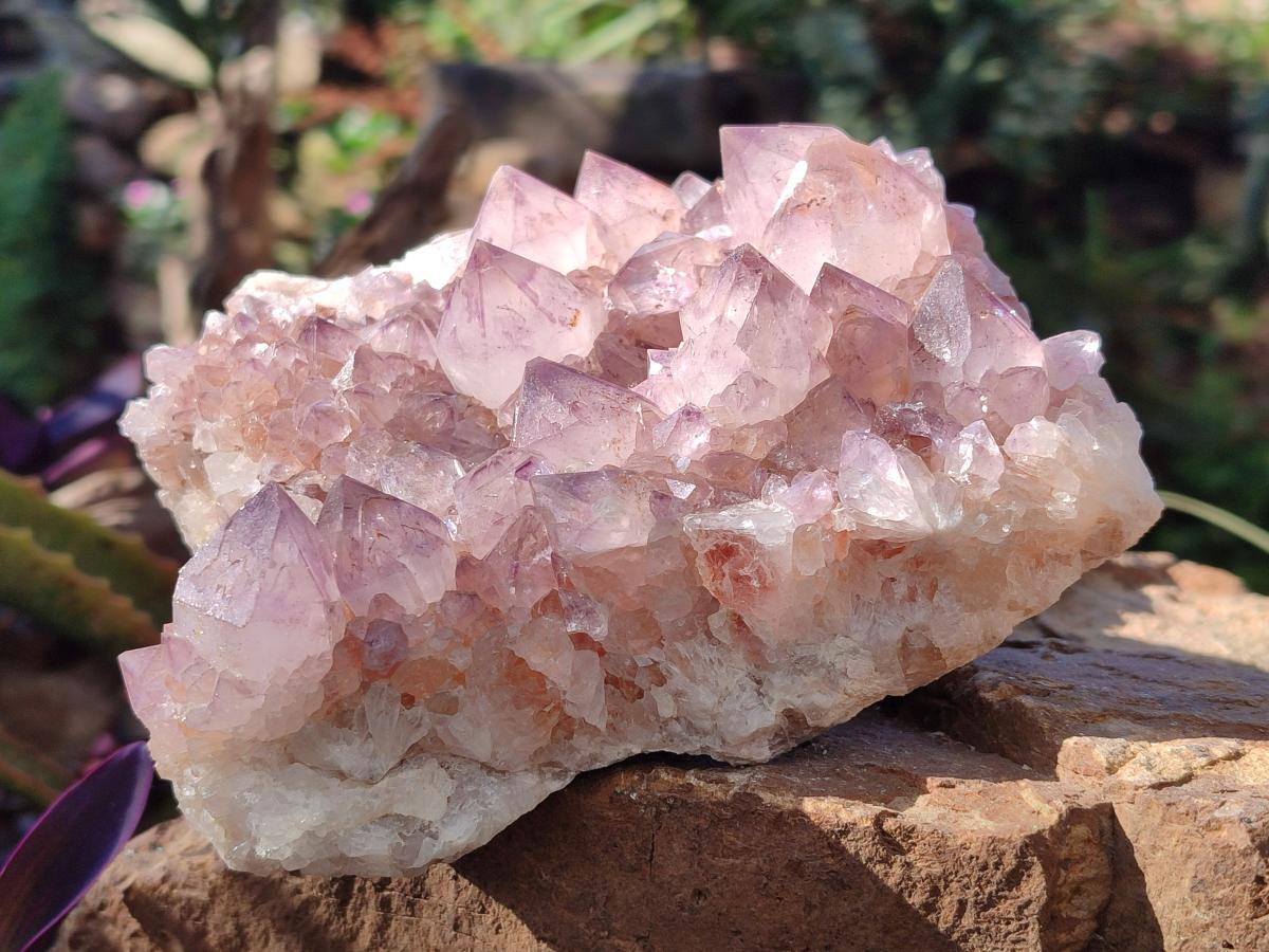 Natural Spirit Amethyst Clusters x 2 From Boekenhouthoek, South Africa - Toprock Gemstones and Minerals 
