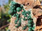 Natural Ball Malachite Specimens Coated with Drusy Quartz on Dolomite x 2 From Mindingi Mine, Congo - Toprock Gemstones and Minerals 