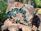 Natural Ball Malachite Specimens Coated with Drusy Quartz on Dolomite x 2 From Mindingi Mine, Congo - Toprock Gemstones and Minerals 