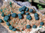 Natural Ball Malachite Specimens Coated with Drusy Quartz on Dolomite x 2 From Mindingi Mine, Congo - Toprock Gemstones and Minerals 