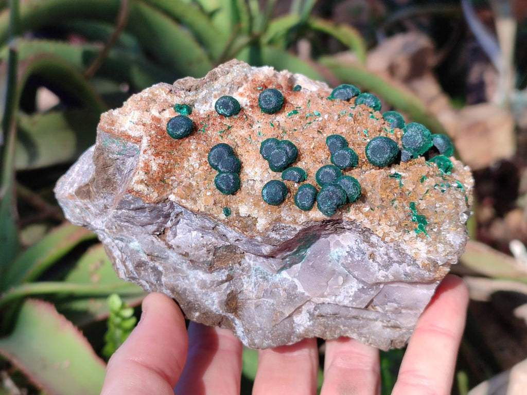 Natural Ball Malachite Specimens Coated with Drusy Quartz on Dolomite x 2 From Mindingi Mine, Congo - Toprock Gemstones and Minerals 