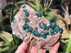 Natural Ball Malachite Specimens Coated with Drusy Quartz on Dolomite x 2 From Mindingi Mine, Congo - Toprock Gemstones and Minerals 