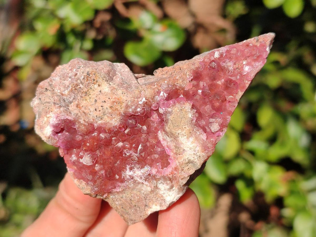 Natural Spherocobaltite Specimens x 6 From Musonoi Mine, Congo - Toprock Gemstones and Minerals 