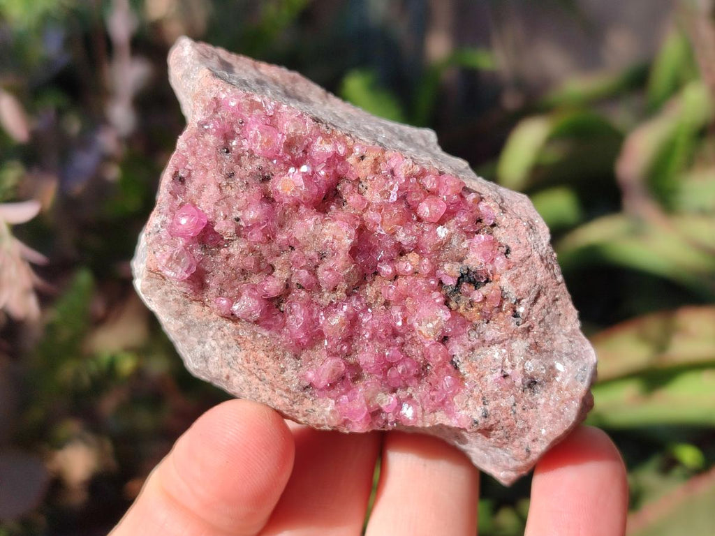 Natural Spherocobaltite Specimens x 6 From Musonoi Mine, Congo - Toprock Gemstones and Minerals 