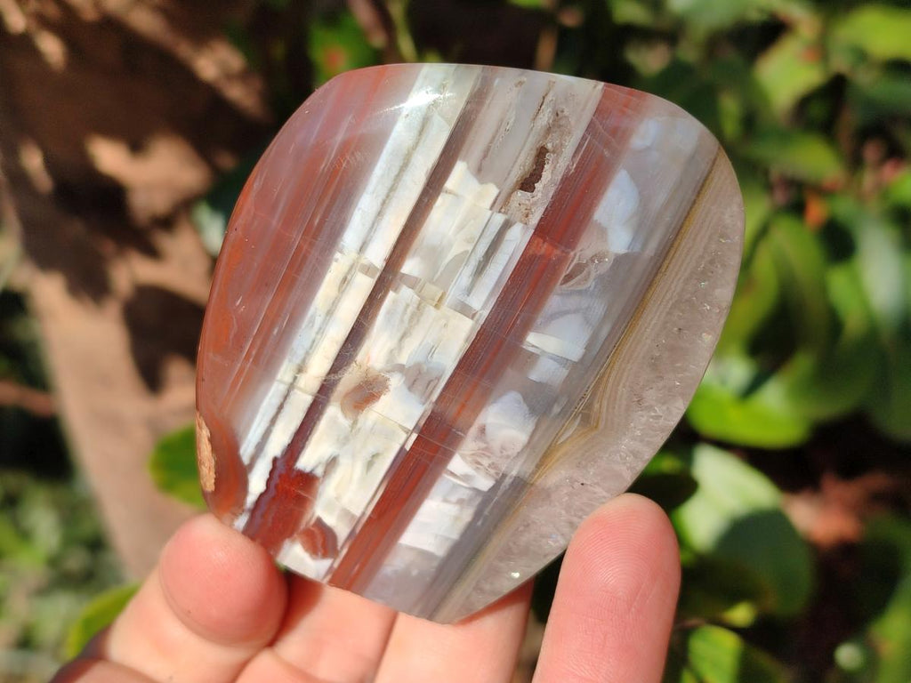 Polished Red Shashe River Agate Standing Display Pieces and Free Forms x 6 From Shashe River, Zimbabwe - Toprock Gemstones and Minerals 