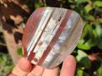 Polished Red Shashe River Agate Standing Display Pieces and Free Forms x 6 From Shashe River, Zimbabwe - Toprock Gemstones and Minerals 