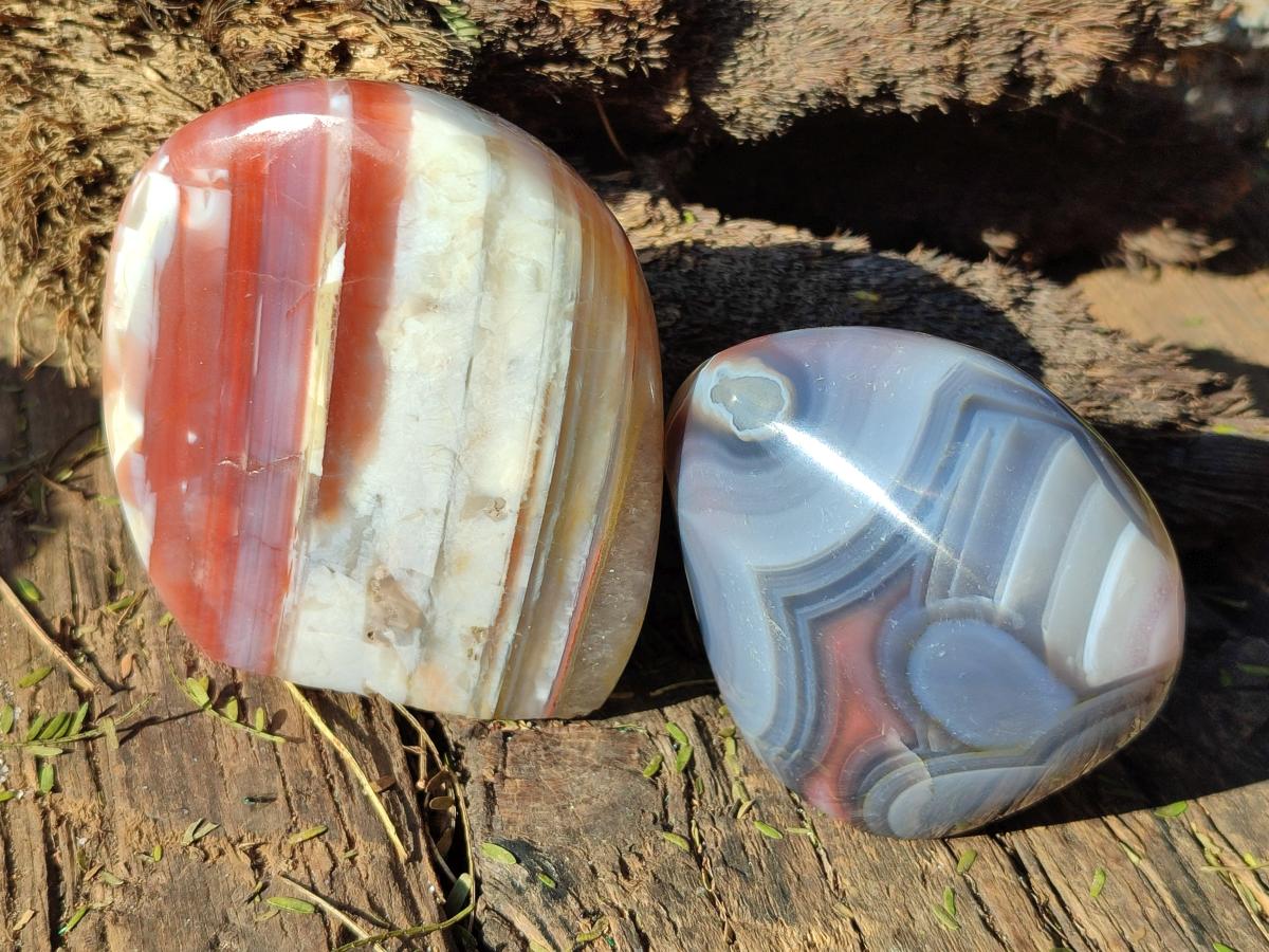 Polished Red Shashe River Agate Standing Display Pieces and Free Forms x 6 From Shashe River, Zimbabwe - Toprock Gemstones and Minerals 