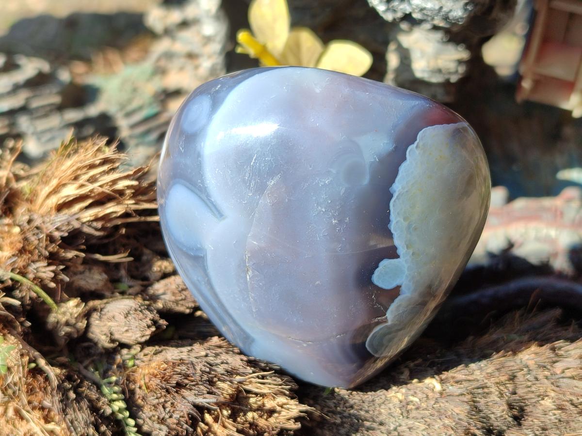 Polished Red Shashe River Agate Standing Display Pieces and Free Forms x 6 From Shashe River, Zimbabwe - Toprock Gemstones and Minerals 