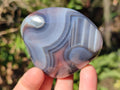 Polished Red Shashe River Agate Standing Display Pieces and Free Forms x 6 From Shashe River, Zimbabwe - Toprock Gemstones and Minerals 