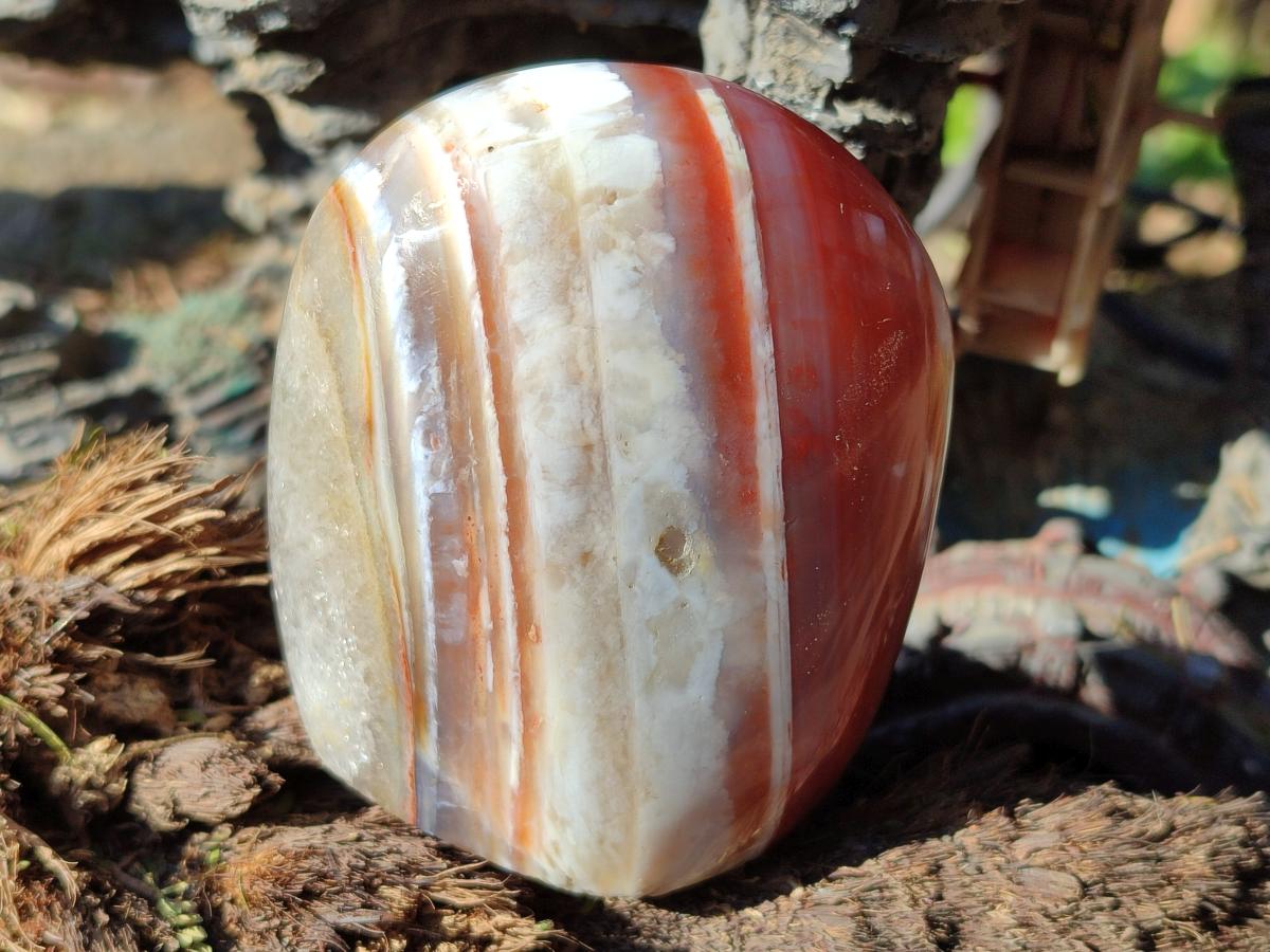 Polished Red Shashe River Agate Standing Display Pieces and Free Forms x 6 From Shashe River, Zimbabwe - Toprock Gemstones and Minerals 