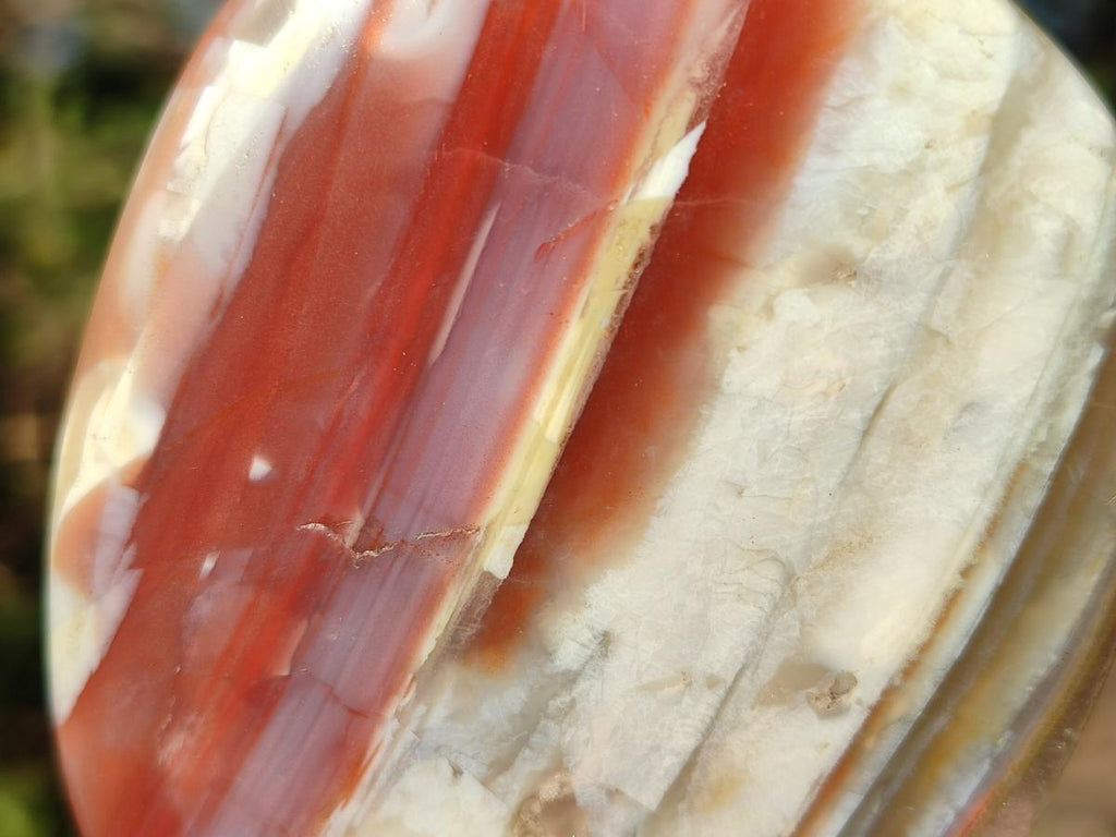 Polished Red Shashe River Agate Standing Display Pieces and Free Forms x 6 From Shashe River, Zimbabwe - Toprock Gemstones and Minerals 