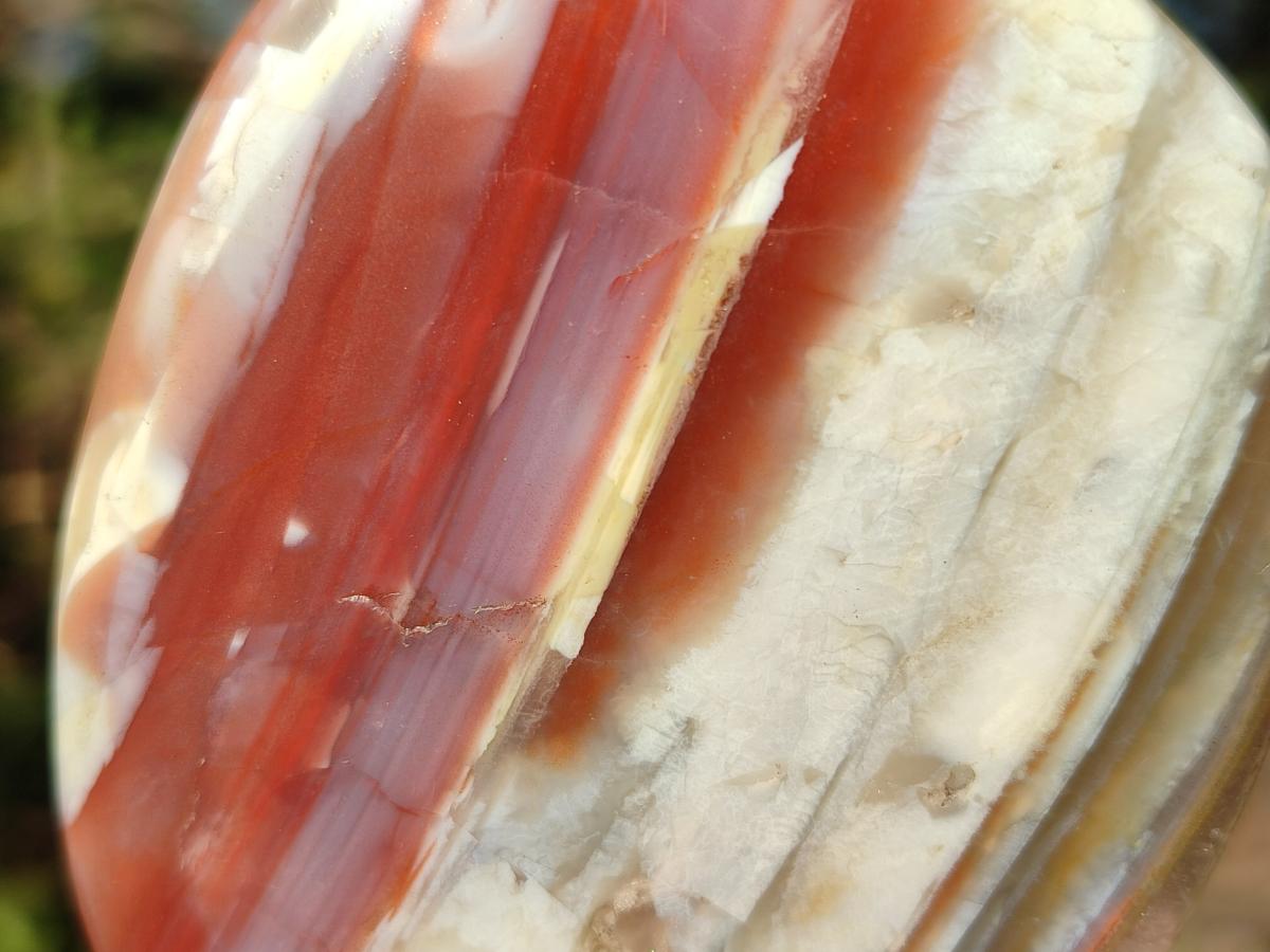 Polished Red Shashe River Agate Standing Display Pieces and Free Forms x 6 From Shashe River, Zimbabwe - Toprock Gemstones and Minerals 