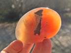 Polished Red Shashe River Agate Standing Display Pieces and Free Forms x 6 From Shashe River, Zimbabwe - Toprock Gemstones and Minerals 