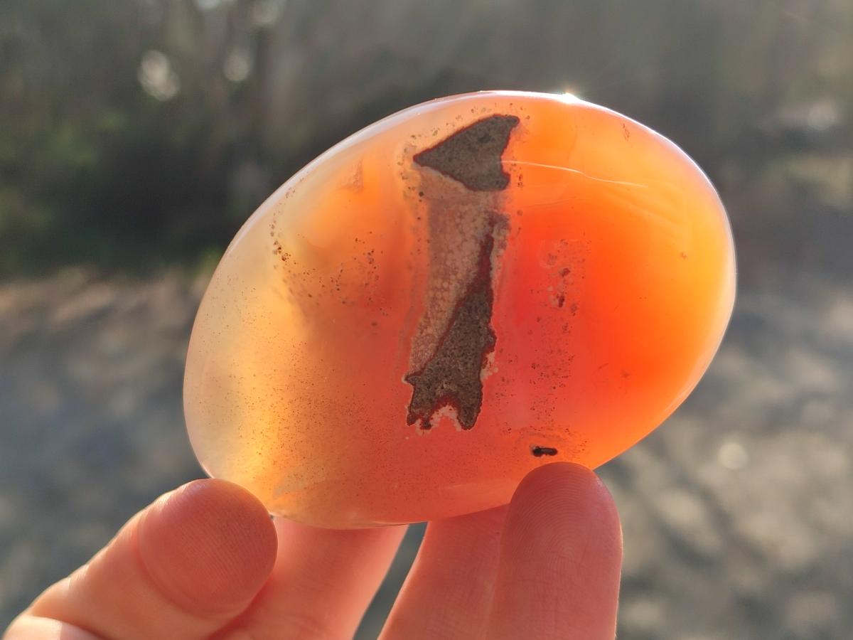 Polished Red Shashe River Agate Standing Display Pieces and Free Forms x 6 From Shashe River, Zimbabwe - Toprock Gemstones and Minerals 