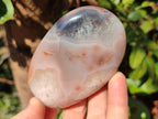 Polished Red Shashe River Agate Standing Display Pieces and Free Forms x 6 From Shashe River, Zimbabwe - Toprock Gemstones and Minerals 