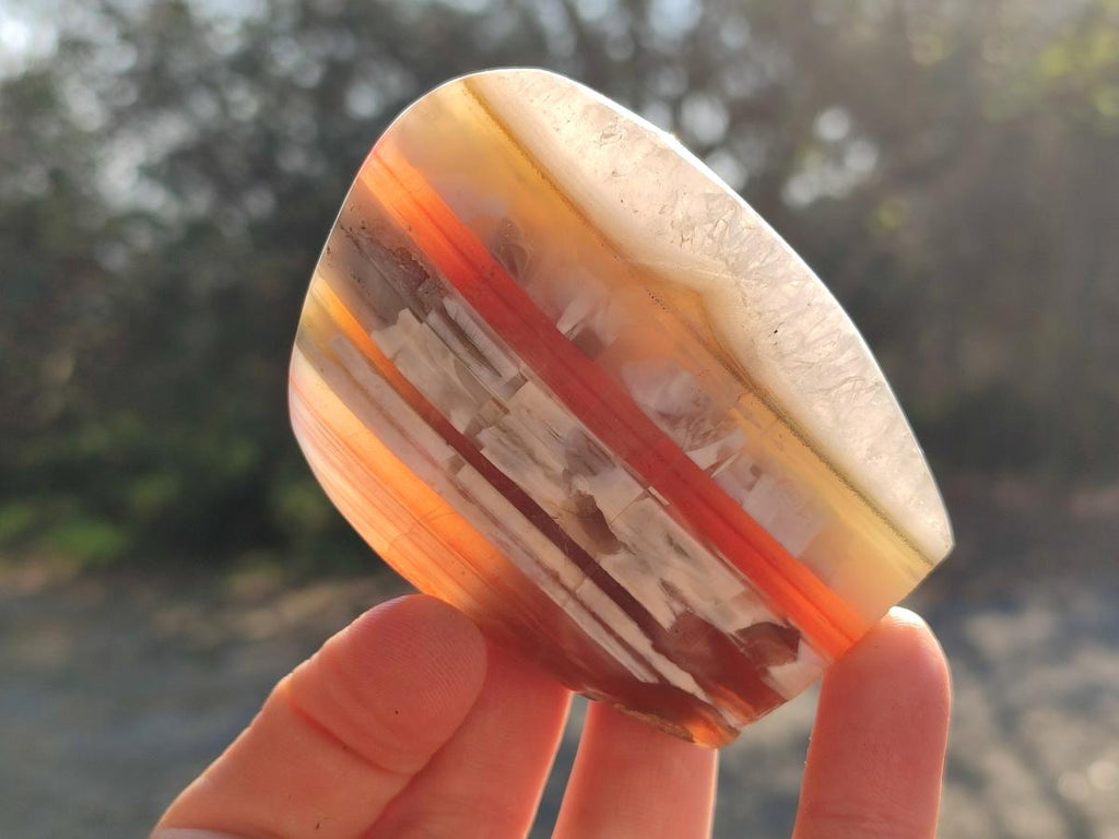 Polished Red Shashe River Agate Standing Display Pieces and Free Forms x 6 From Shashe River, Zimbabwe - Toprock Gemstones and Minerals 